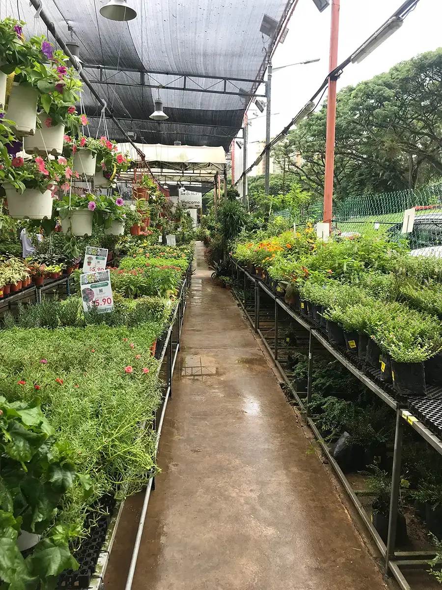 Singapore