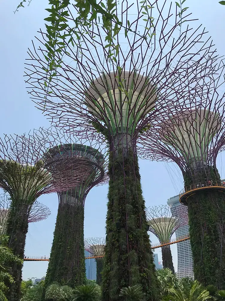 Singapore